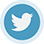 logotwi
